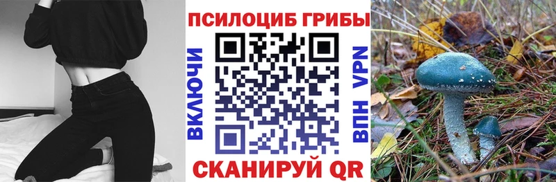 Псилоцибиновые грибы Cubensis  Хадыженск 